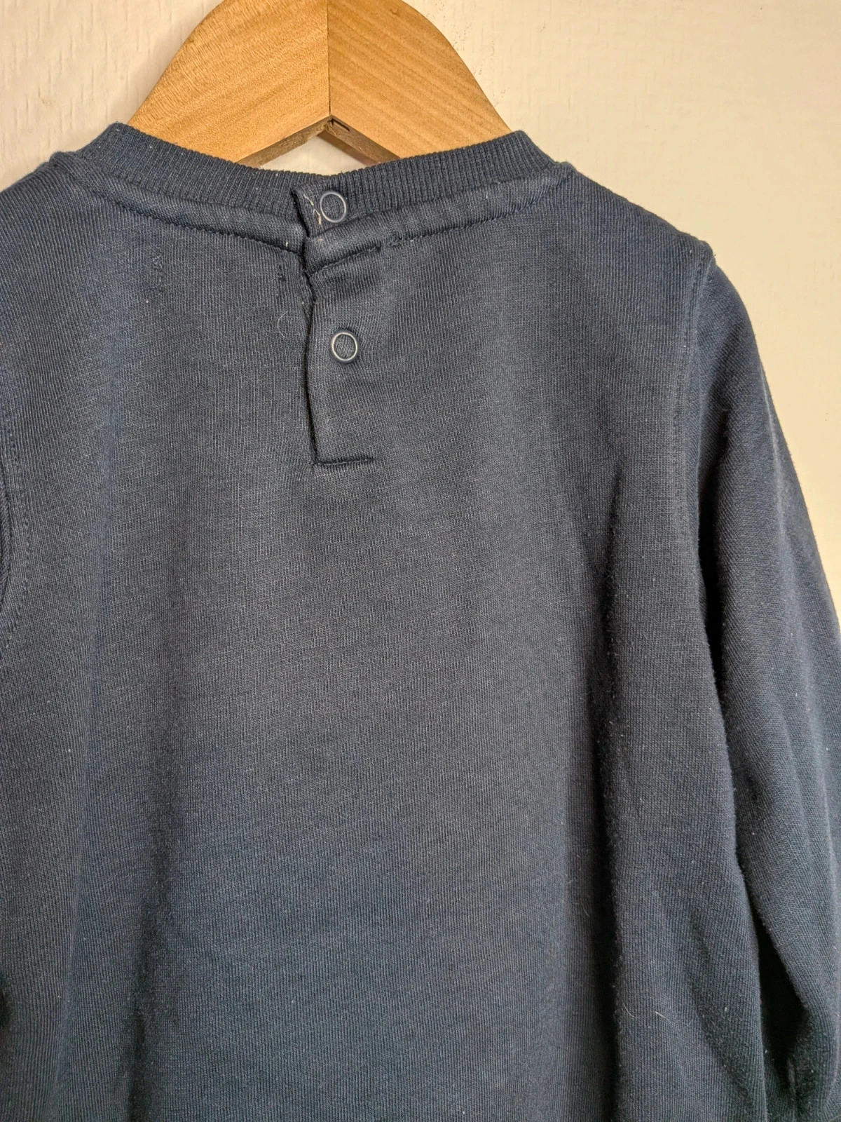 Sudadera dinosaurio – photo 7